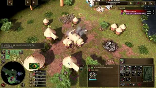 Tupi, This civ rushes fast --- Age of empires 3 - Age of the world