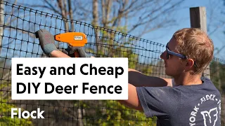 QUICK, EASY, AFFORDABLE DIY Deer Fence Installation — Ep. 068