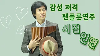 시절인연 - 이찬원/안성훈 Panflute 연주 [ 울산 하태열 팬플룻 아카데미 ]