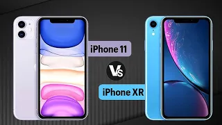 Сравнение iPhone XR и iPhone 11. Какой выбрать в  2021 года?