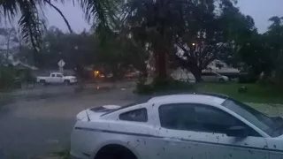 LIVE FOOTAGE - CAPE CORAL/NORTH FORT MYERS HURRICANE IRMA, WALMART SIGN, TREES, ROOFS, FLOODING 7:40