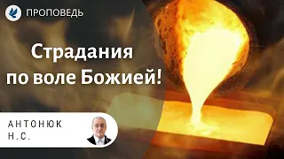 Страдания по воле Божией! Антонюк Н.С. Проповеди МСЦ ЕХБ