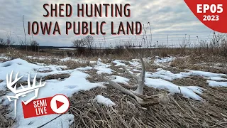 Shed Hunting IOWA PUBLIC Land