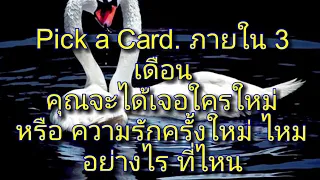 Pick a Card. ภายใน 3 เดือน คุณจะได้เจอใครใหม่ หรือ ความรักครั้งใหม่ ไหม อย่างไร ที่ไหน ทำไมจึงเจอ