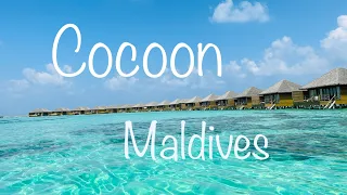 Cocoon Maldives 2022 4K island drone food snorkeling diving PADI room tour Lhaviyani Atoll Malediven