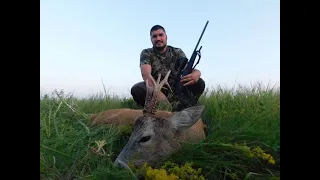 Roebuck hunting in Serbia Lov srndaca u Srbiji