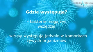 Wirusy i bakterie - czym się różnią