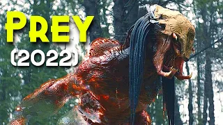 PREY (2022) Full Movie Explained | All Fight scenes & K!ll Scenes | Comic & Easter Eggs of 1719 Prey