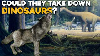 Could Dire Wolves Survive the Mesozoic Era?