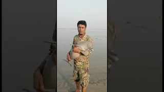 Releasing Dolphin fish in Indus River Pakistan | catches Dolphin fish and release | Man salwa food