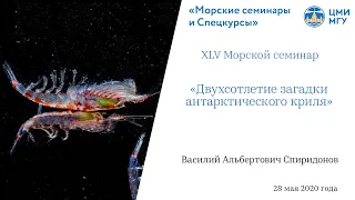 XLV Морской семинар — «Двухсотлетие загадки антарктического криля»