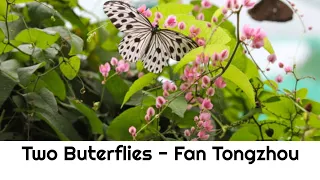 Two Buterflies - Fan Tongzhou. Tibetan Love Song English version. #relaxingmusic  #altumangelfish