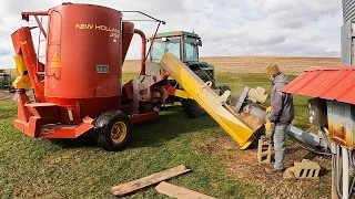 Making Food For Our Cows With A Few Simple Ingredients