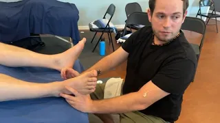 Reflexology Techniques 30min Session