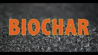 Biochar Basics Overview