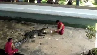 THIS GUY LOOSES A HEAD WITH A THAILAND ALIGATOR