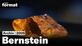 Bernstein: Die Geheimnisse des brennenden Steins - Dokumentation von NZZ Format (2005)