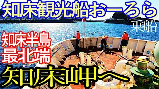 北海道ゆる旅３日目（中編）知床観光船に乗り知床岬へ