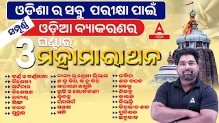 RI ARI AMIN, ICDS Supervisor 2024 | Complete Odia Grammar In 3 Hours For All Exams