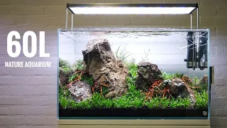 NEW 60cm Nature Aquarium - Cinematic