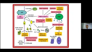 Dementia: From the Lab to the Clinic by DR. JOY DESAI