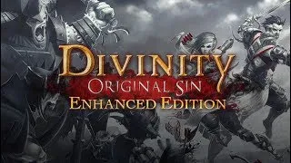 Divinity: Original Sin - Enhanced Edition. Кооператив. Доблестный режим. Второй трай. Часть 13