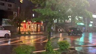 ASMR Japan Thunderstorm Rain Walk 2021.07.10 Ambient Sound Sleep Meditate Relax Tokyo Suburb Zen