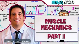 Musculoskeletal System | Muscle Mechanics | Multiple Motor Unit Summation