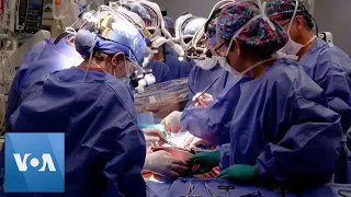 Surgeons Perform Second Pig Heart Transplant to Save Dying Man | VOA News