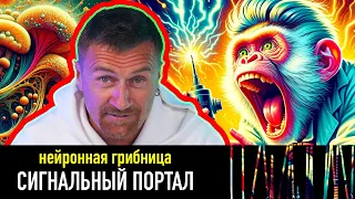 Сигнальный портал — РАЗНЫЕ ТЕЛЕГИ