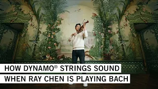 RAY CHEN performs BACH's Violin Partita no. 3 in E major, BMV 1006: III. on DYNAMO® strings