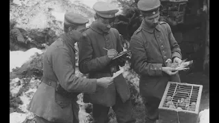 Photos of German Army Carrier Pigeons During World War 1 (1917-1918)