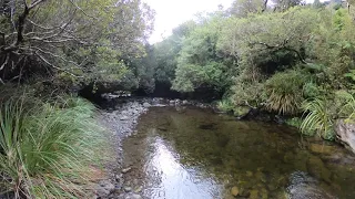 College Creek Forks, Burn Hut Route - Tararua