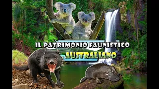 INSOLITO patrimonio faunistico Australiano, da ESPLORARE!