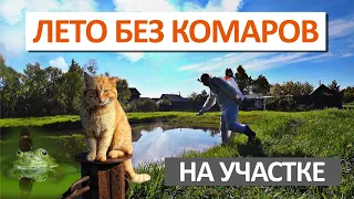 УНИЧТОЖЕНИЕ КОМАРОВ на участке — ЭКОЛОГИЧНО и БЕЗОПАСНО для животных