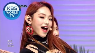 gugudan(구구단) - Not That Type [Music Bank COMEBACK / 2018.11.09]