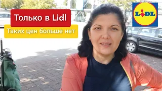 Закупка продуктов в немецком супермаркете. Обзор цен. Акции с приложением Lidl plus