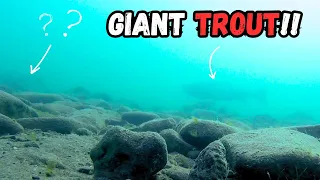Whats In The Depths of Pyramid Lake - How To Get them To Bite (Tutorial For Giant Trout)