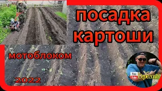 мотоблок агат посадка картофеля 2022