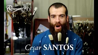 Cesar SANTOS - Brush Review