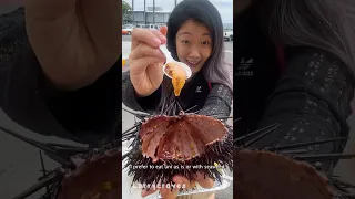 What’s your experience with sea urchin?