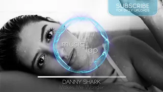 Danny Shark - Makes Me Wonder