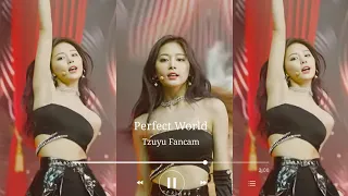 [TWICE Tzuyu] Perfect World Tzuyu's Fancam🔥