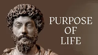 Purpose Of Life | How To Find Your Purpose - Marcus Aurelius (Stoicism)