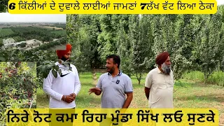 6ਕਿੱਲਿਆਂ ਦੇ ਦੁਵਾਲੇ ਜਾਮਣਾਂ ਲਾਈਆਂ ਸੀ,7ਲੱਖ ਜਾਮਣਾਂ ਦਾ ਵੱਟ ਲਿਆ,ਬਾਗਾਂ ਚੋਂ ਕਮਾ ਰਿਹਾ ਲੱਖਾਂ ਰੁਪਏ,,