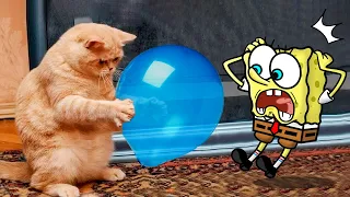 New Funny Animals 2023 😂 Funniest Cats And Dogs Videos 😾🐶 Spongebob in Real Life!