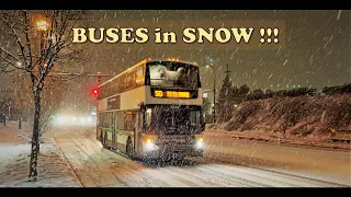 Transit Buses in Snow and Rain // BC TRANSIT - VICTORIA // Winter 2021-2022