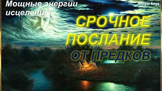 Срочное 🔥ПОСЛАНИЕ от ПРЕДКОВ🌳🍀