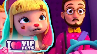 ⌚ TOUTE LA JOURNEE VIP PETS ⌚ 🌈 VIP PETS 🌈 ÉPISODES COMPLETS 💇🏼 DESSIN ANIMÉ pour ENFANTS