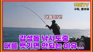 [억이TV]감성돔 낚시를 집중해야되는 이유